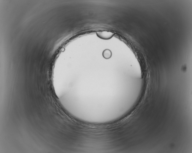 X0000116131261201001041004