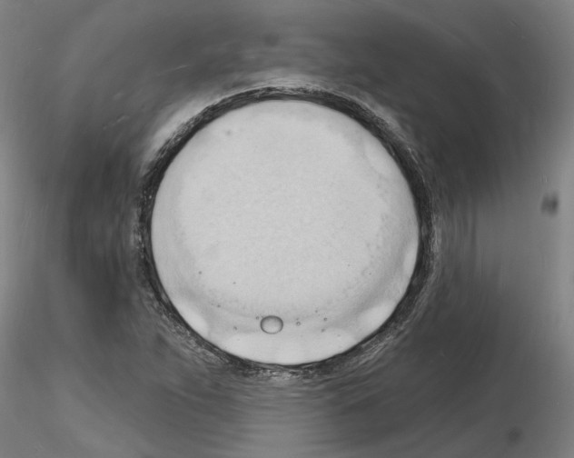 X0000116131263201001041004