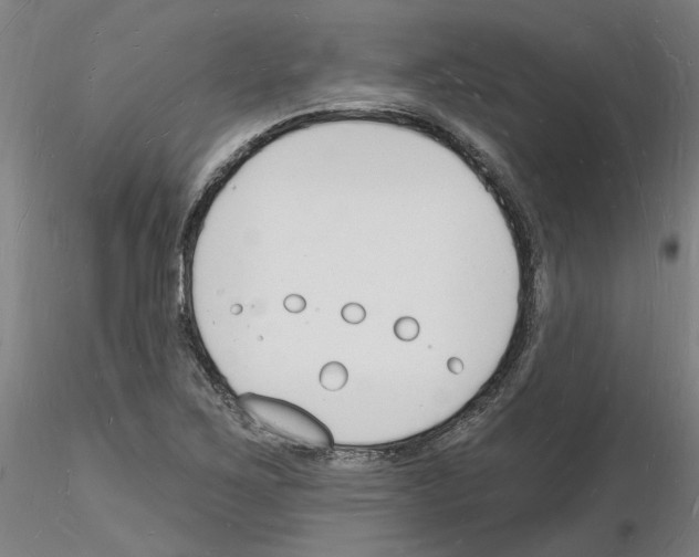 X0000116131267201001041004