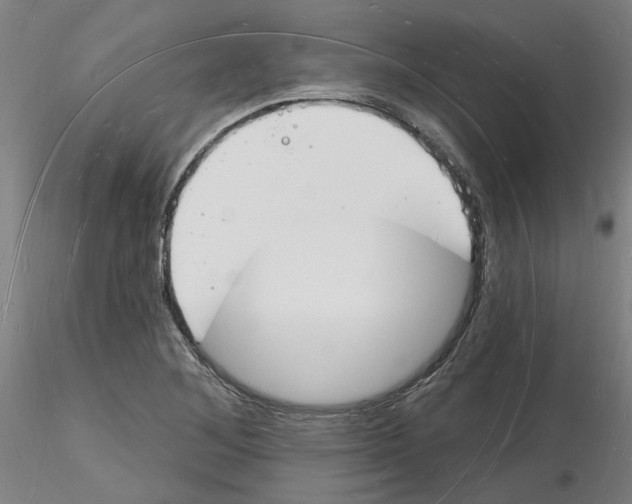 X0000116131268201001041004