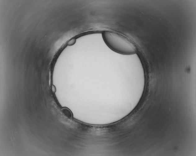 X0000116131269201001041004