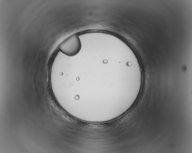 X0000116131270201001041004