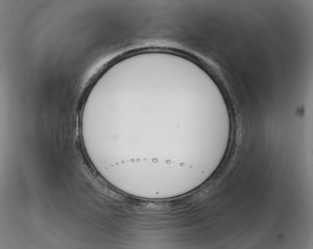 X0000116131271201001041004