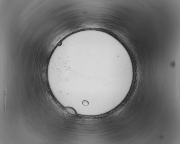 X0000116131273201001041004