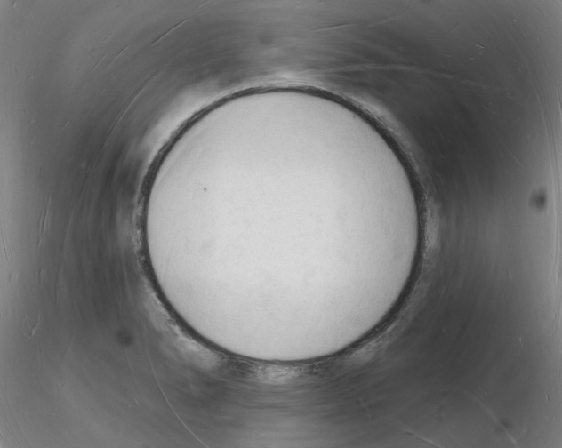 X0000116131278201001041004