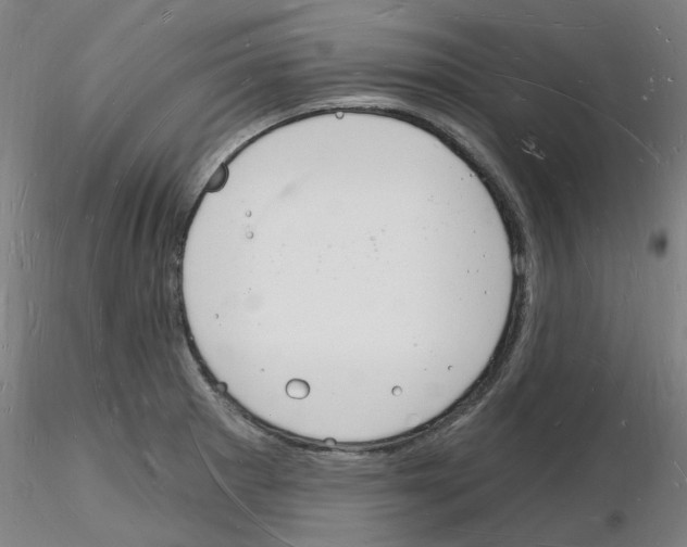 X0000116131281201001041004