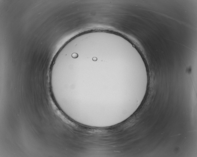 X0000116131287201001041004