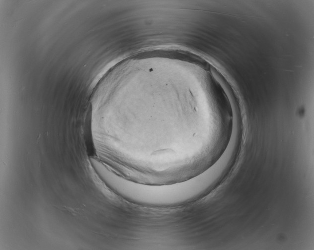 X0000116131289201001041004