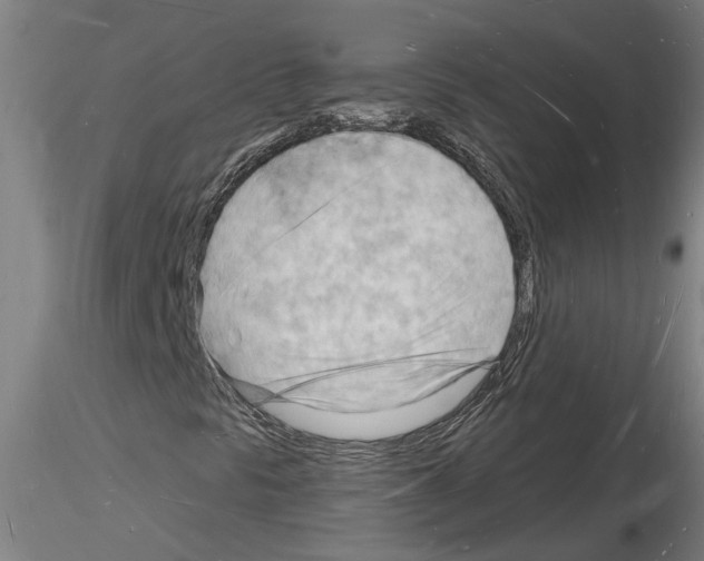 X0000116131297201001041003