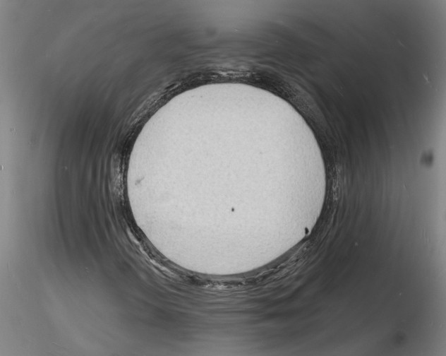 X0000116131298201001041003