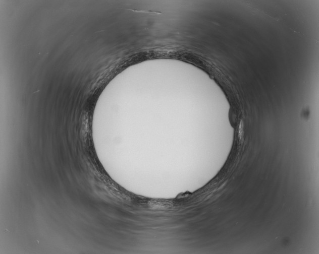 X0000116131299201001041003