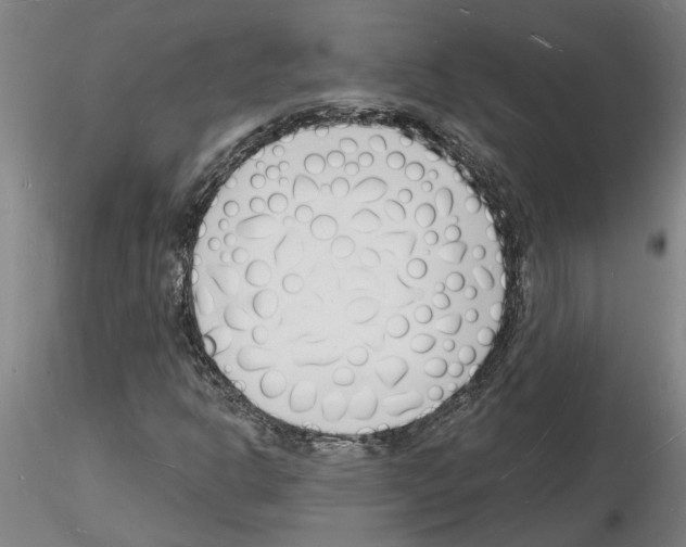 X0000116131302201001041003