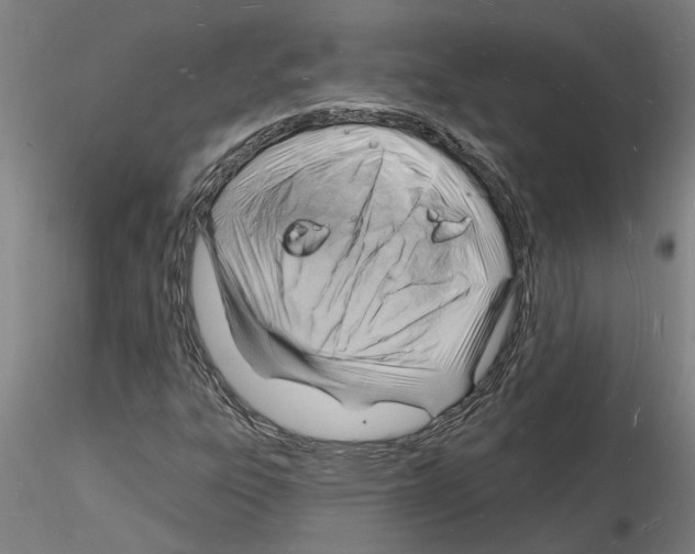 X0000116131303201001041003