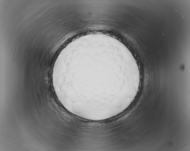 X0000116131305201001041003
