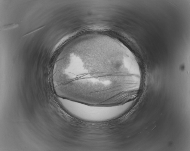 X0000116131306201001041003