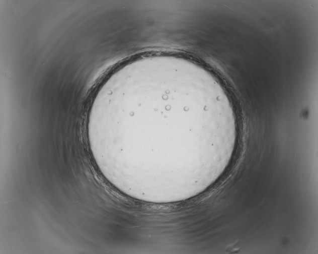 X0000116131307201001041003