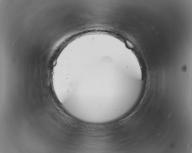 X0000116131310201001041003