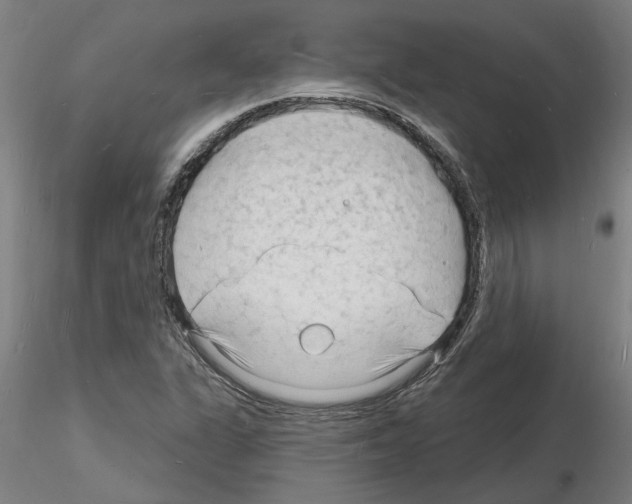 X0000116131311201001041003