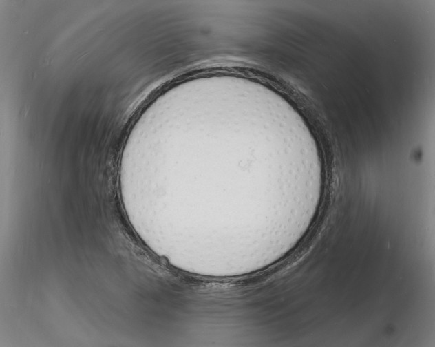 X0000116131313201001041003