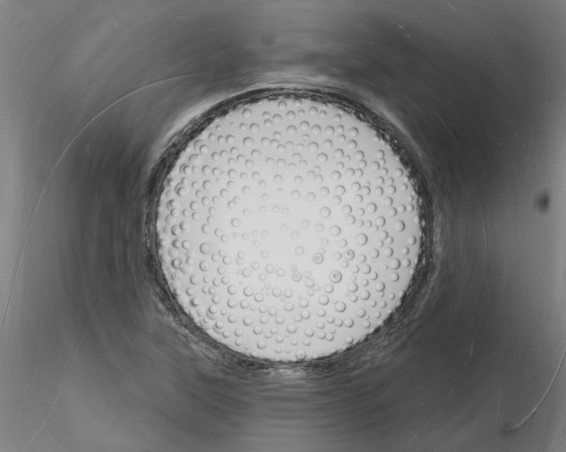 X0000116131315201001041003