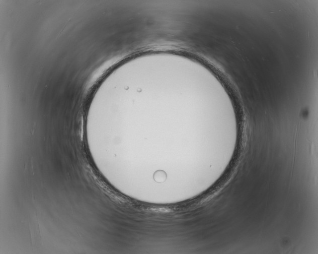 X0000116131317201001041003