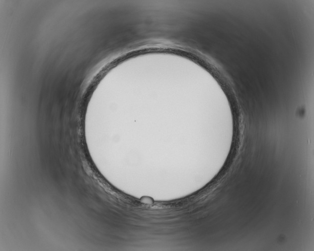 X0000116131318201001041003