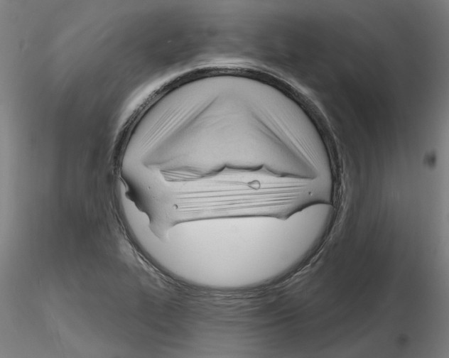 X0000116131319201001041003