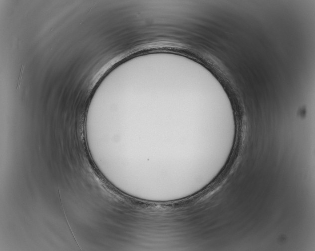 X0000116131321201001041003