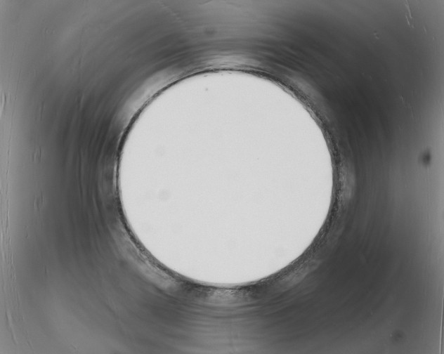 X0000116131322201001041003