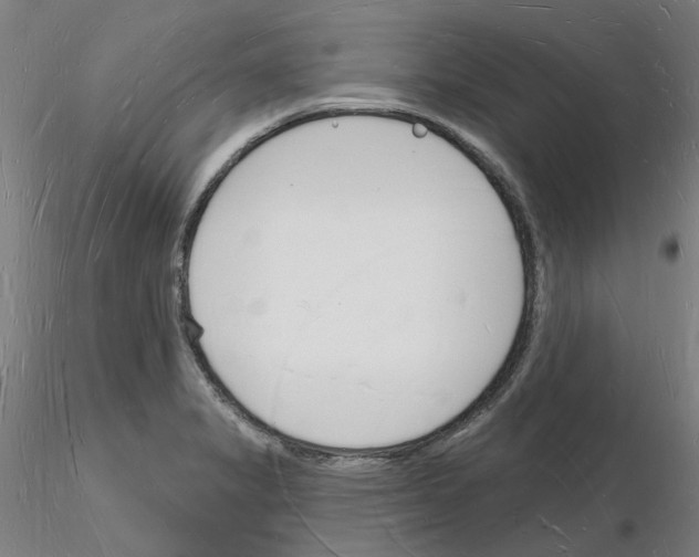 X0000116131325201001041003