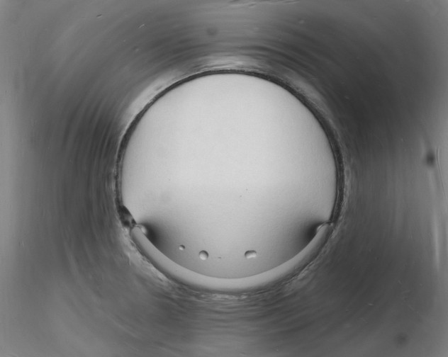 X0000116131330201001041003