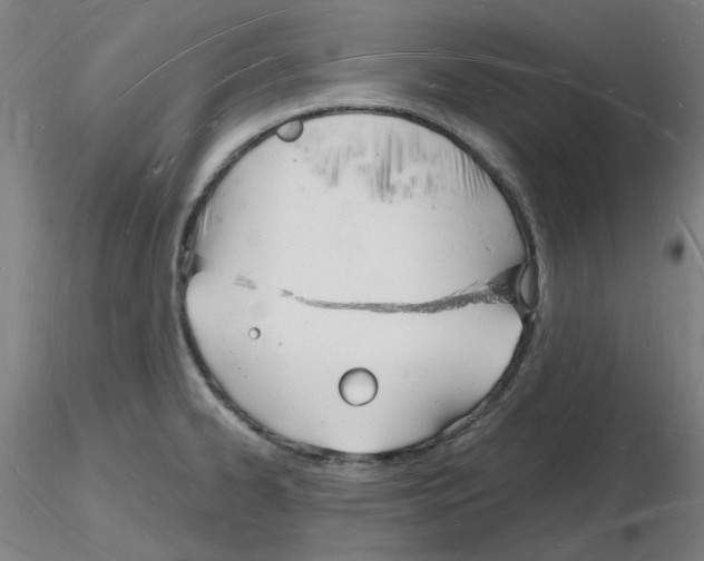 X0000116131334201001041003