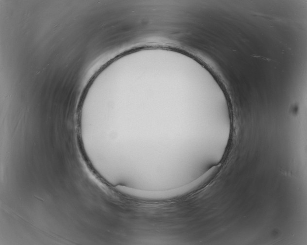 X0000116131335201001041003