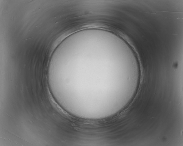 X0000116131338201001041003