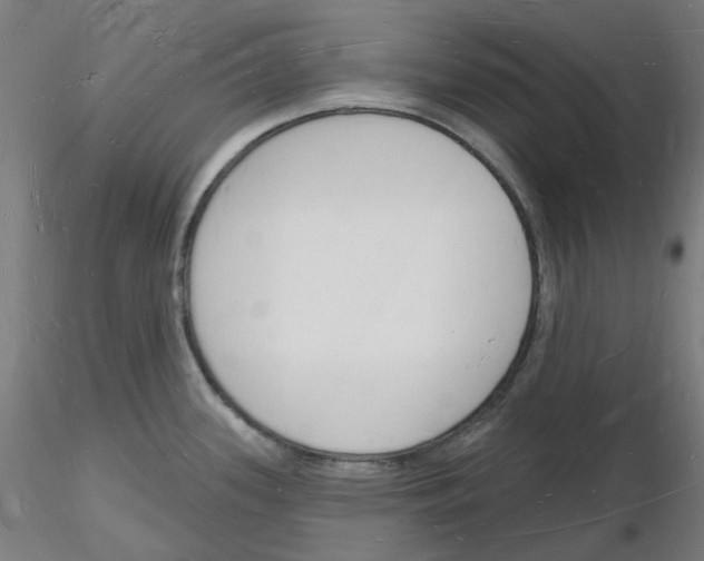 X0000116131339201001041003