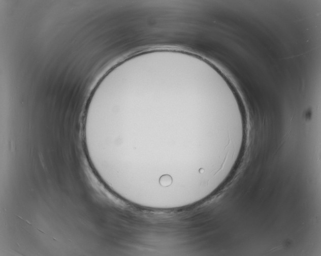 X0000116131341201001041003