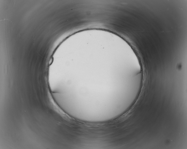 X0000116131342201001041003