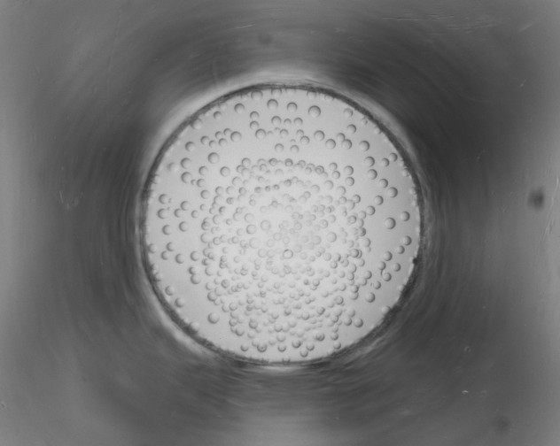 X0000116131343201001041003