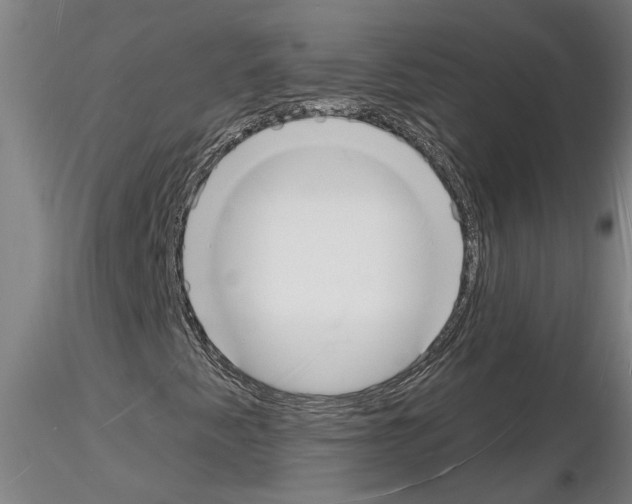 X0000116131345201001041003