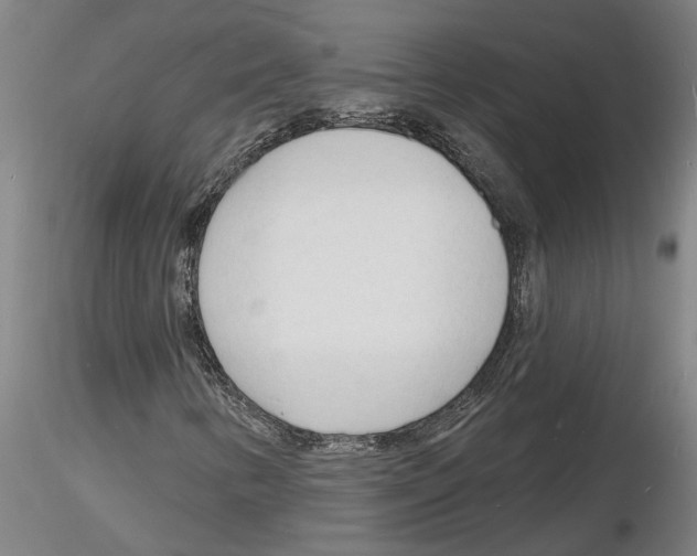 X0000116131346201001041003