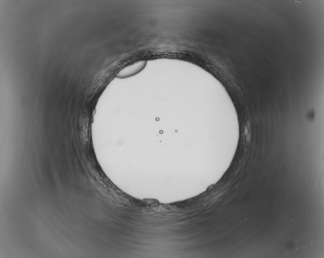 X0000116131348201001041003