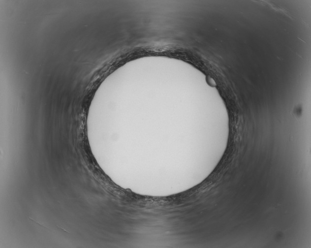 X0000116131349201001041003