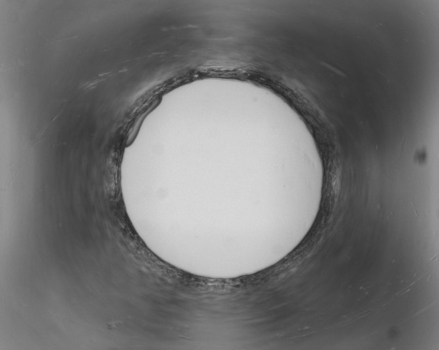 X0000116131350201001041003