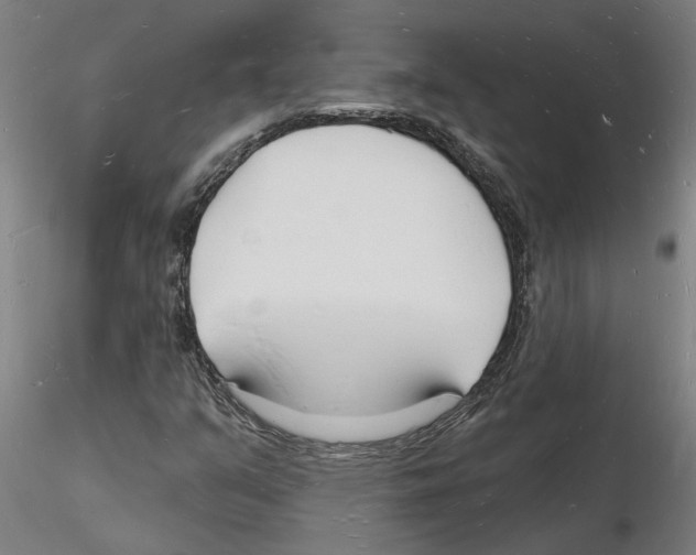 X0000116131351201001041003