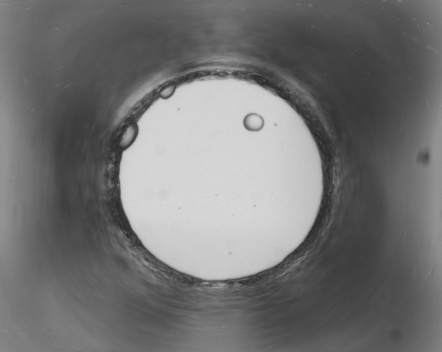 X0000116131352201001041003