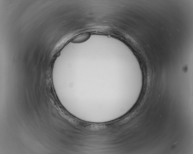 X0000116131354201001041003