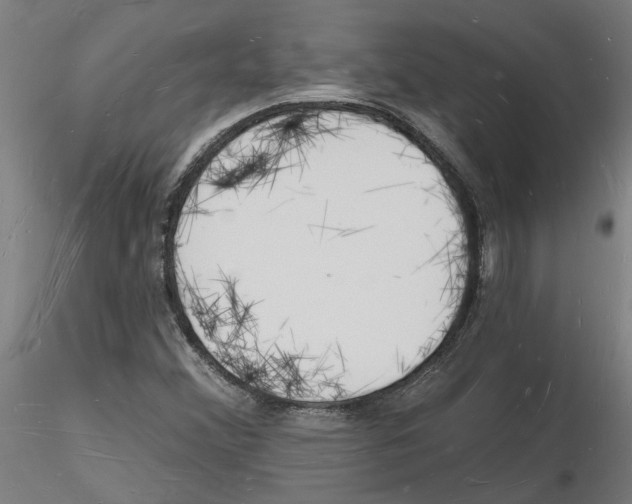 X0000116131356201001041003