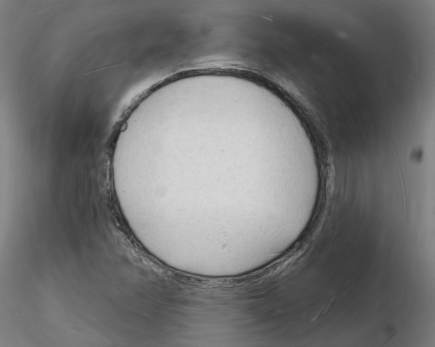 X0000116131358201001041003
