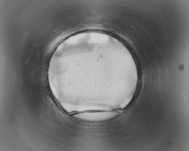 X0000116131359201001041003