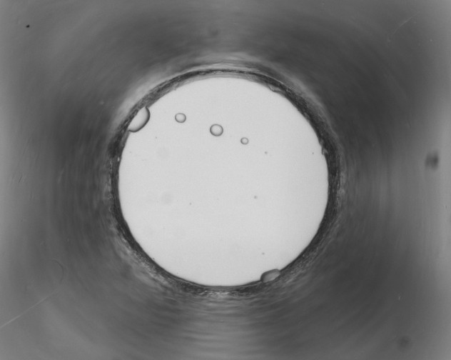 X0000116131360201001041003